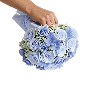 Elegant Blue Roses