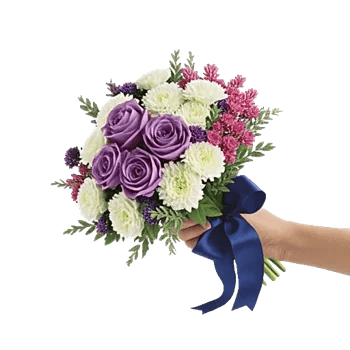 Elegant Blue Roses