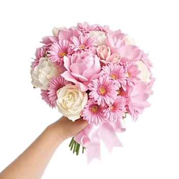 Peony Petal Harmony