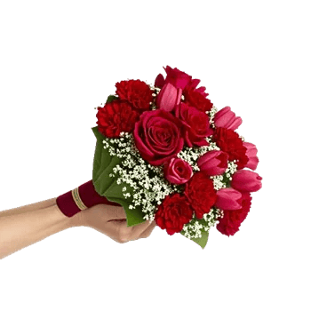Crimson Rose Elegance