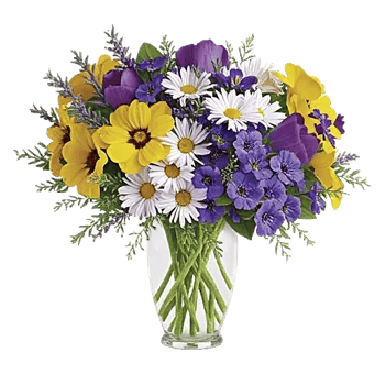 Petal Radiance Bliss