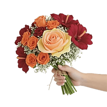 Petal Grace Harmony