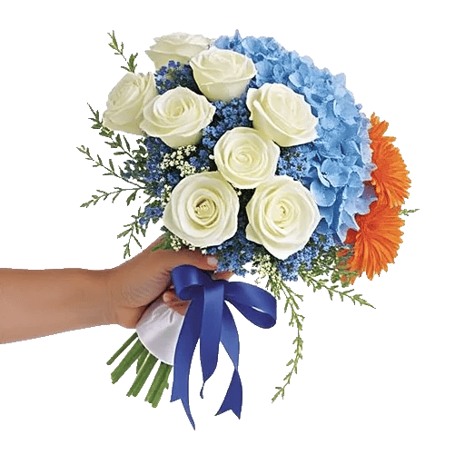 Serene Petal Harmony