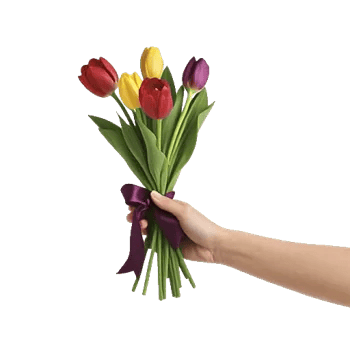 Scarlet Tulip Splendor