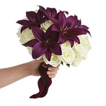 Elegant Calla Lilies