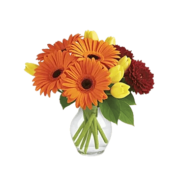 Petal Radiance Bliss