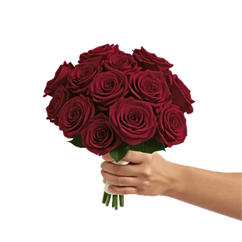 Crimson Rose Elegance