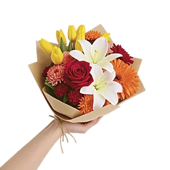 Blossom Harmony Display