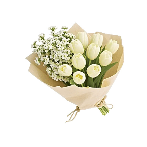 Delicate Petal Cascade