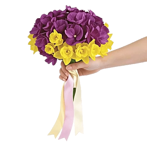 Ivory Blossom Radiance