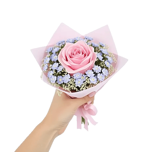 Blossom Radiant Whisper