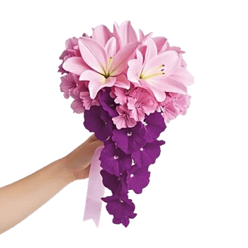 Blossom Harmony Display