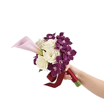 Elegant Calla Lilies