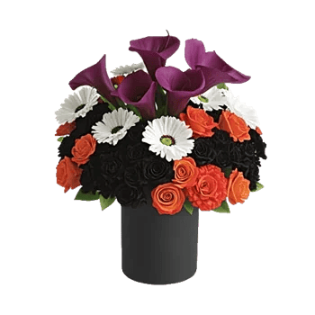 Elegant Calla Lilies