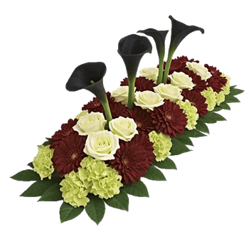 Elegant Calla Lilies