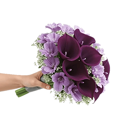 Elegant Calla Lilies