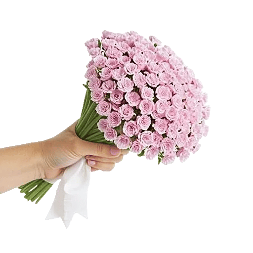 Blossom Petal Serenity