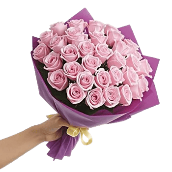 Pastel Pink Roses