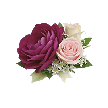 Delicate Petal Cascade