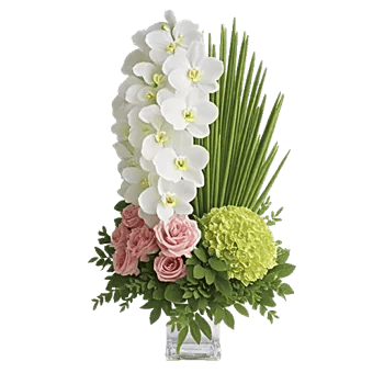 Orchid Bloom Cascade