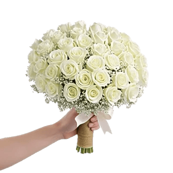 Ivory Garden Grace