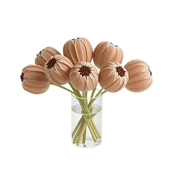 Serenity Orchid Bloom