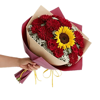 Crimson Rose Elegance