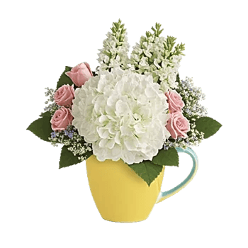 Serene Petal Harmony