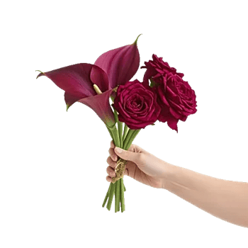 Elegant Calla Lilies