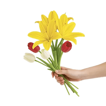 Graceful Lily Display