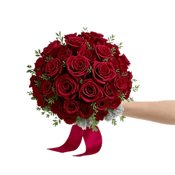 Crimson Blossom Harmony