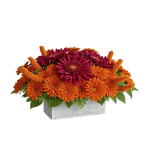 Ruby Petal Cascade