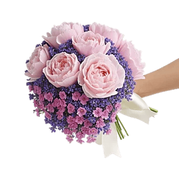 Peony Petal Harmony
