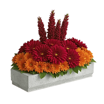Ruby Petal Cascade