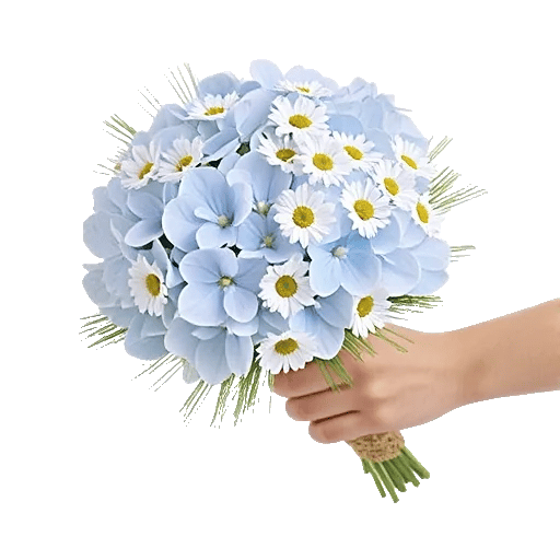 Serene Petal Harmony