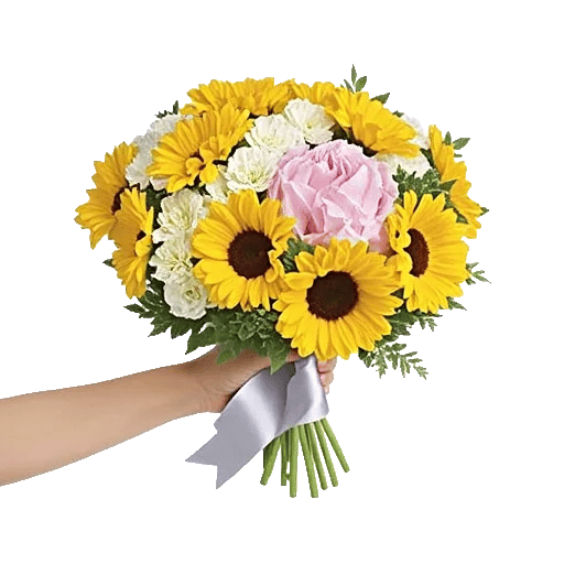 Blossom Harmony Display