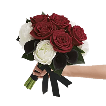 Crimson Rose Elegance