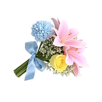 Serene Petal Harmony