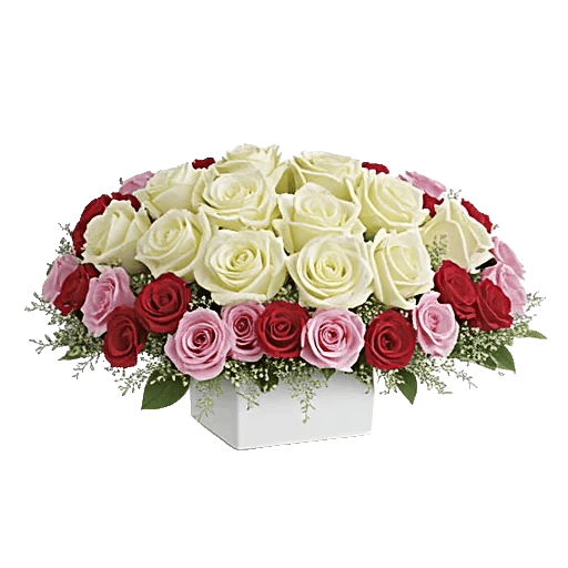Delicate Petal Cascade