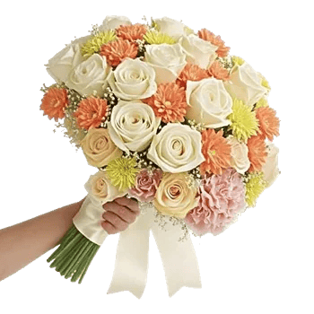 Blushing Rose Symphony