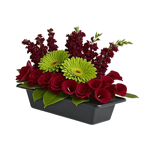 Elegant Calla Lilies