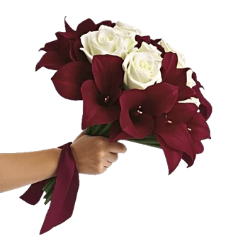 Elegant Calla Lilies