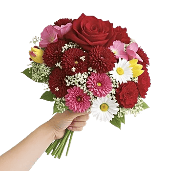 Crimson Rose Elegance