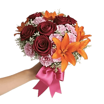 Blushing Rose Symphony