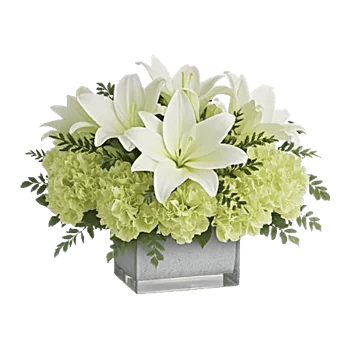 Graceful Lily Display