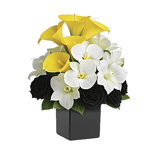 Elegant Calla Lilies