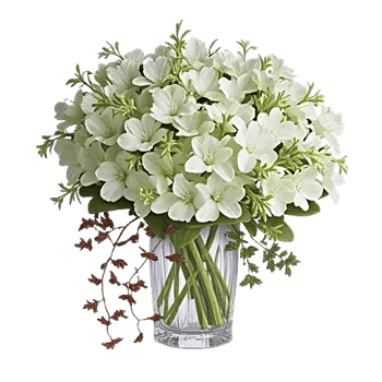 Ivory Blossom Radiance