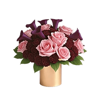 Elegant Calla Lilies