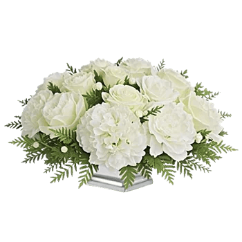 Ivory Blossom Radiance