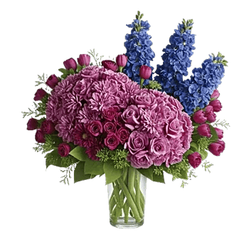 Sapphire Bloom Whisper